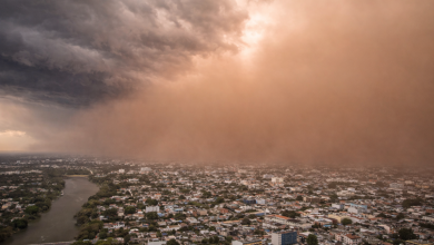 Foto de El calor y el polvo del Sahara desencadenan afecciones respiratorias y cutáneas (debes tomarlo ahora)