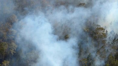 Foto de Desde el sábado se mantiene activo un incendio forestal en el Parque Nacional Sierra de Bahoruco