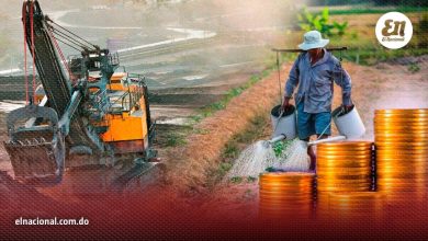 Foto de Construcción, minería y turismo impulsan la economía: Creció 4,7% en mayo