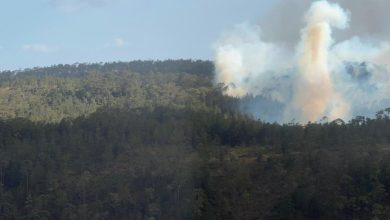 Foto de El incendio en la Sierra de Bahoruco se encuentra activo desde el sábado; Esperan tenerlo bajo control "en los próximos días".