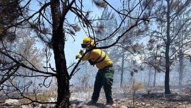 Foto de Controlan el 70% de los incendios en el Parque Nacional Sierra de Bahoruco