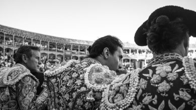 Foto de "Corrida de toros" de Sofía Torres en el Museo de Arte Moderno