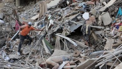 Foto de Solidaridad sin fronteras: República Dominicana responde a Venezuela tras terremoto