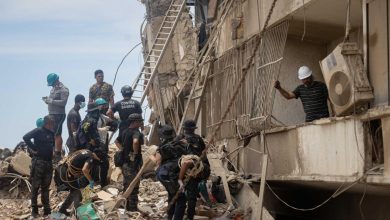 Foto de Aunque las ruinas de La Guerra huelen a muerte, la búsqueda de vida continúa