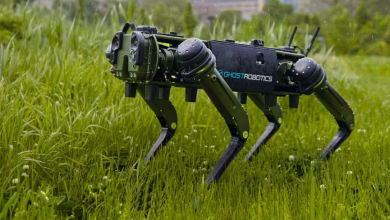 Foto de Taiwán muestra perros patrulleros robot que pueden proteger sus islas del Mar de China Meridional