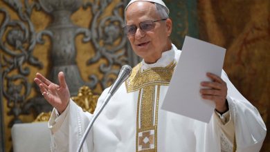Foto de León XIV pidió solidaridad con los inmigrantes y justicia en los casos de abuso de la iglesia