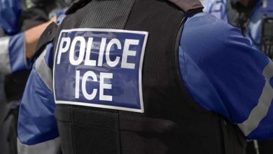 Foto de Los dominicanos en Nueva York aplauden al juez que prohíbe los arrestos de ICE en o cerca de la corte de inmigración