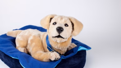 Foto de Tombot ha recaudado 7 millones de dólares para llevar al mercado su perro robótico Jenny
