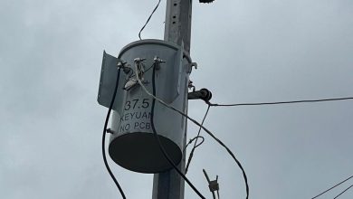 Foto de Edeeste instala nuevo transformador en Los Caños