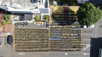 Foto de Desmantela plantación de marihuana con más de 15 mil plantas