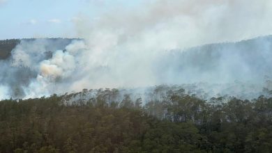 Foto de Medio Ambiente encabeza operativo incendio forestal