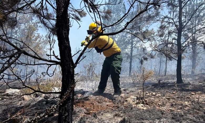 Foto de Bomberos controlan el 70 % del incendio en Sierra de Bahoruco