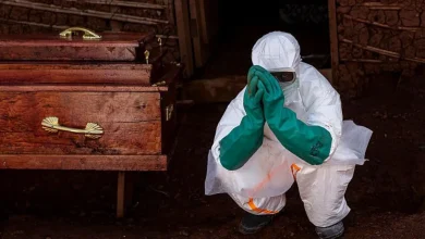 Foto de Se están desarrollando tres vacunas contra el ébola en medio de crecientes temores de un nuevo brote
