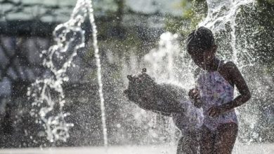 Foto de Polémica en Bélgica: un ministro sugiere piscinas, cerveza y barbacoas para combatir el calor