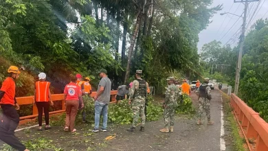 Foto de Aguaceros y granizadas provocan daños en Cabrera