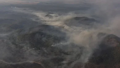 Foto de Los incendios en la Amazonía brasileña aumentaron un 115% en mayo de 2026