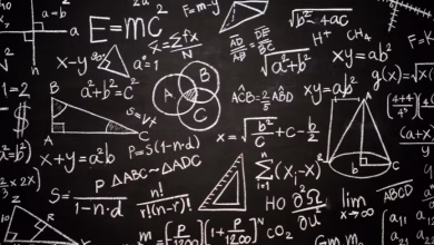 Foto de Los matemáticos emitieron la Declaración de Leiden contra el mal uso de su trabajo por parte de la IA