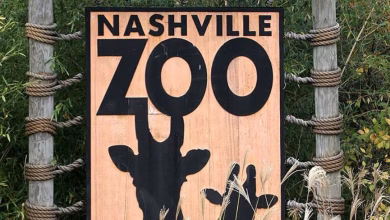 Foto de El zoológico de Nashville dice que un centro de datos de inteligencia artificial propuesto podría dejar de criar leopardos en peligro de extinción