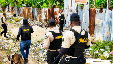 Foto de DNCD asegura que ha decomisado más de 914 kilos