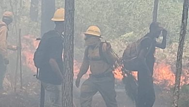 Foto de Controlan más de un 80 % segundo incendio Sierra de Bahoruco