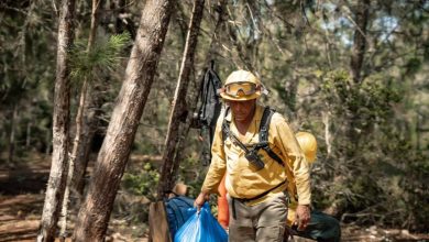 Foto de ¿Están ya controlados los incendios forestales en la Sierra de Bahoruco? Esto se llama ambiente.
