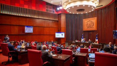 Foto de Senado acelera: aprueba reforma policial en segunda lectura; La pieza castigaría con recortes salariales a los agentes que abusen de ella