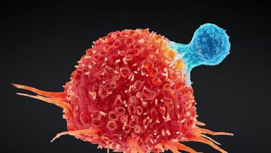 Foto de El cáncer amenaza a la población mundial