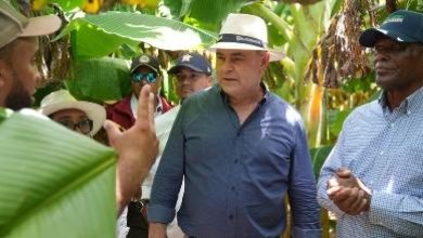 Foto de Prodevaj no puede esperar