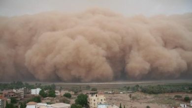 Foto de La sequía y la degradación ambiental intensifican las tormentas de arena, advierte la OMM