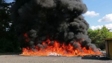 Foto de Esta semana quemaron más de 1000 kg de droga