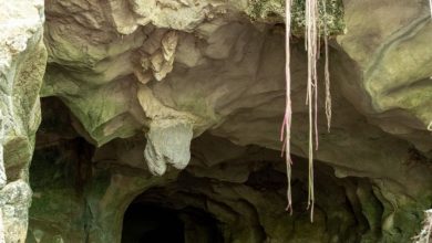 Foto de Si se destruye el patrimonio natural, el país pierde