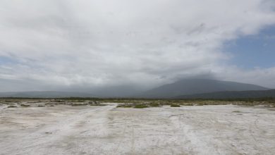 Foto de A falta de béisbol, jugadores juegan a orillas de la Laguna de Cabral