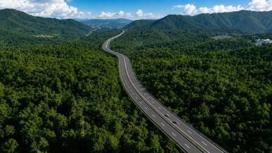 Foto de ¡Autopistas ámbar, carreteras resilientes y controles estrictos!
