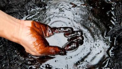 Foto de El descubrimiento de petróleo que ilusiona a Azua
