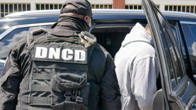 Foto de ¿Quién está distribuido el dominicano en Estados Unidos y por qué?