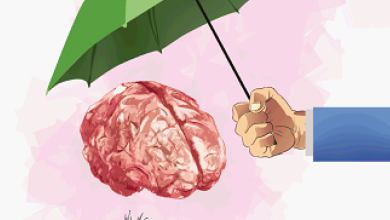 Foto de Cuida tu cerebro