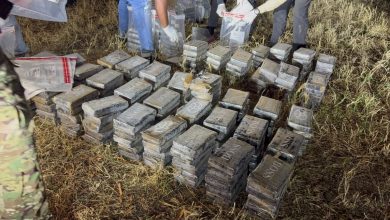 Foto de Incautaron 237 paquetes de presunta cocaína y 296 mil pesos en efectivo