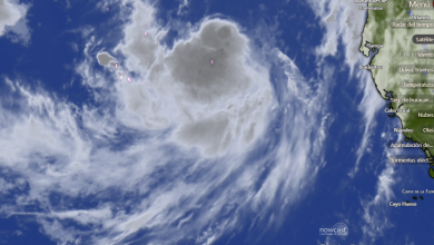 Foto de Se formó la tormenta tropical Bertha con vientos de 40 millas por hora
