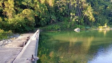 Foto de Cerca de 50 barrios de Pedro Marca y Los Alcárizos y Pedro se encuentran sin agua potable