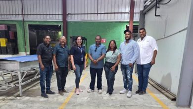 Foto de Dominican Organic Has Avocado fortalece su presencia en el mercado europeo y estadounidense