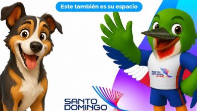Foto de Protegerán a perros que viven en instalaciones de caza centroamericanas