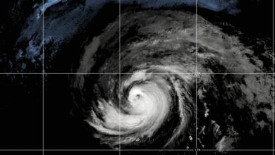 Foto de Pacífico Activo: Se forma la tormenta Genevieve y el huracán Fausto cobra fuerza