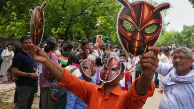 Foto de El movimiento de las 'cucarachas' desató protestas tras la dimisión del ministro de Educación de la India