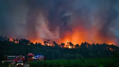 Foto de Incendios en Francia: tres detenidos, más de 32 mil hectáreas dañadas y 167 mil evacuados