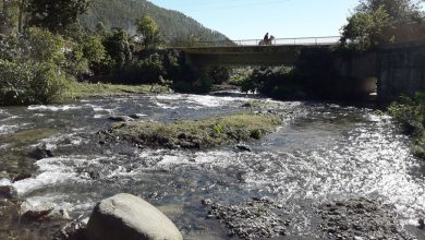 Foto de El gobierno impulsa un plan de US$90 millones para restaurar la Cuenca del Yaque del Norte