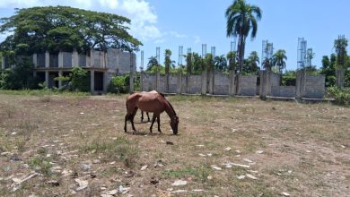 Foto de Los docentes condenan las acusaciones de abandono escolar e irregularidades en la educación en Katui