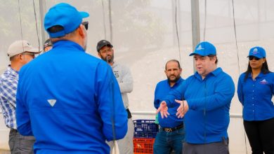 Foto de Chile valora el modelo dominicano de producción en un ambiente protegido