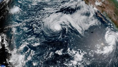 Foto de El huracán Genevieve se aleja de la tierra en el Océano Pacífico mientras Fausto trae olas a Hawaii