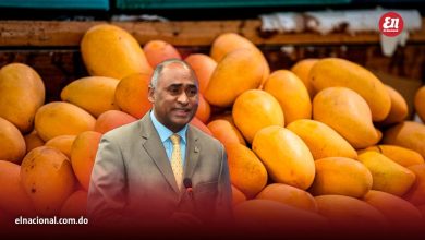 Foto de Julito Fulkar: La suspensión de EE.UU. no afectará a los productores de mango