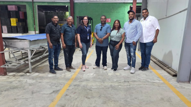 Foto de República Dominicana exporta aguacates Haas orgánicos a Europa y EE.UU. – ACN (República Dominicana)